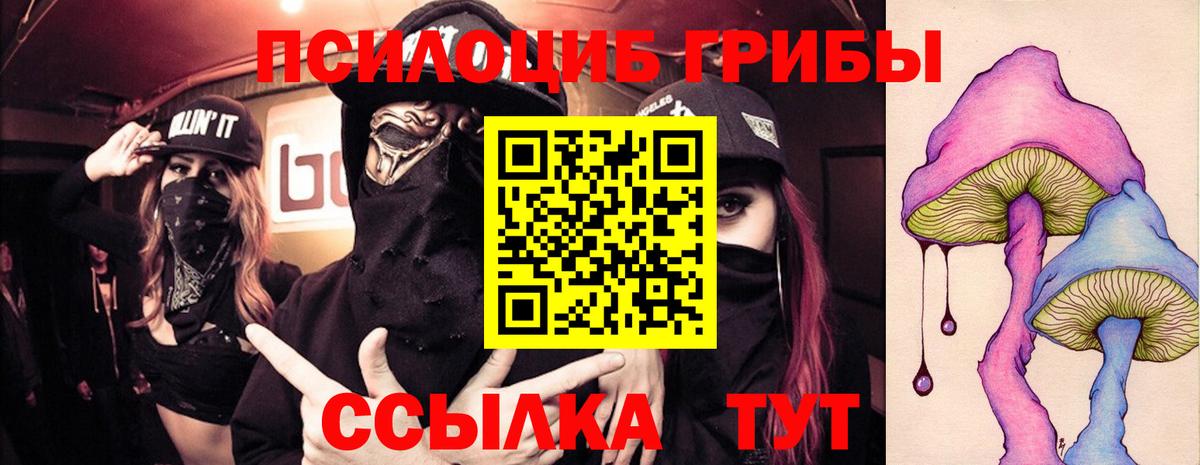 Псилоцибиновые грибы Cubensis  Вход с VPN  купить  сайты  Ивантеевка 