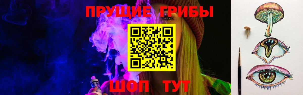 купить наркотики цена  Ивантеевка  Галлюциногенные грибы Cubensis 